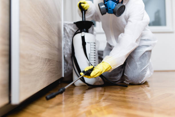Best Ant Control Services  in Burr Ridge, IL