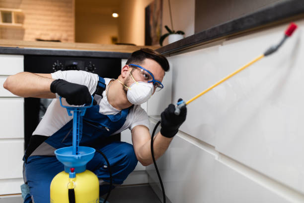 Reliable Burr Ridge, IL Pest Control Solutions