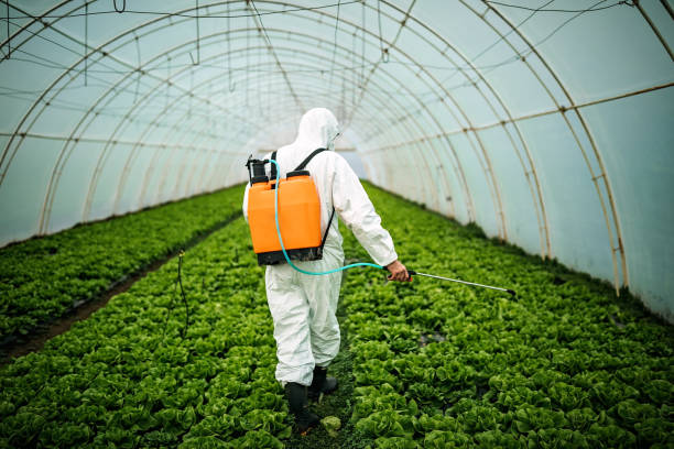 Best Local Pest Control Services  in Burr Ridge, IL