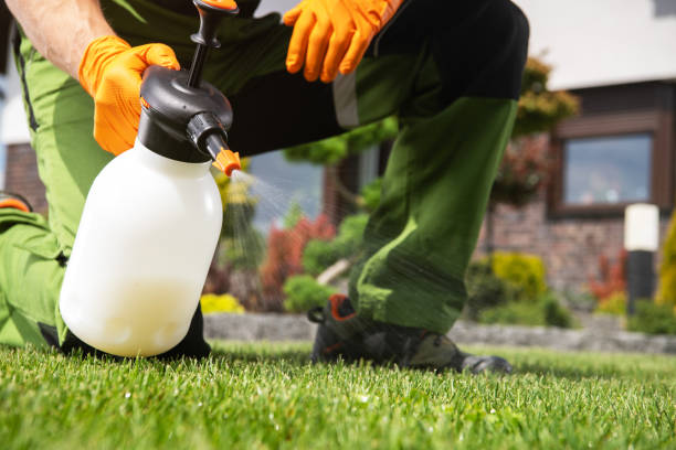 Best Best Pest Control Companies  in Burr Ridge, IL