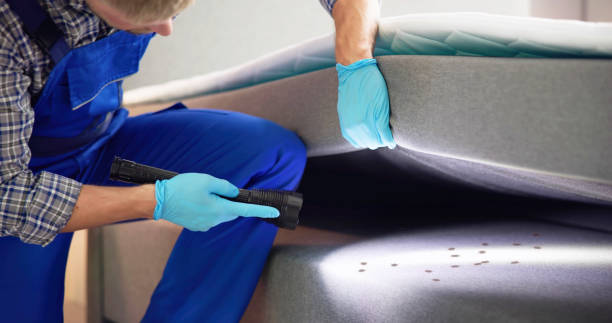 Best Bed Bug Extermination  in Burr Ridge, IL
