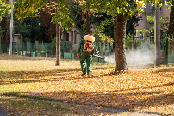 Best Wasp Removal Services  in Burr Ridge, IL