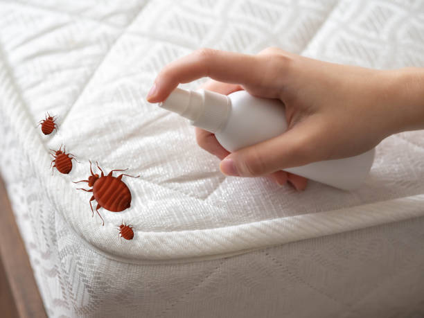 Best Pest Control for Restaurants  in Burr Ridge, IL