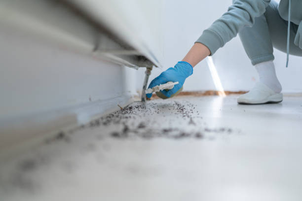 Best Pest Inspection Near Me  in Burr Ridge, IL